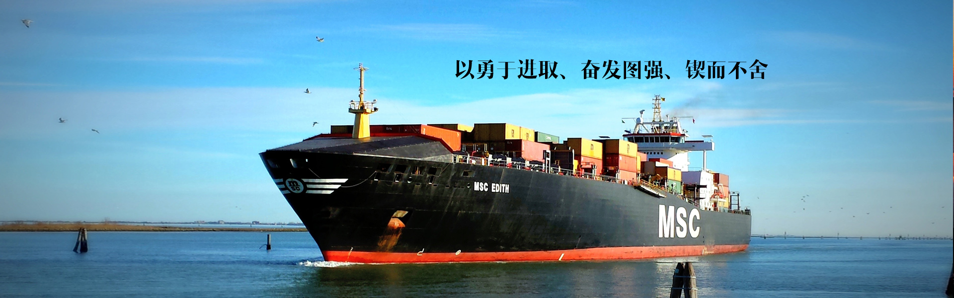 我們的服務(wù)